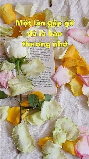 Bài Tình Ca Cho Em (Ngô Thụy Miên) - Guitar Hòa Tấu Thư Giãn, Dễ Ngủ | SQTV - Music #shortsvideos