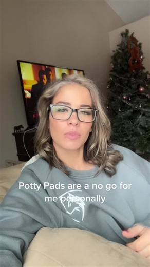 Potty Training Tips for Adult Dogs