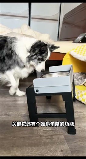 The lift bowl has six adjustable Settings. The tilted design is more suitable for the cerv