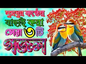 আজ না হয় কাল তুমি যাইবা কবরে । খুবই দুঃখের গজল, New Islamic Gojol 2023, Bangla Gojol, Two New Gojol