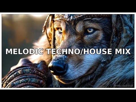 🔥DJ TechnoWoof — Arctic Pulse Ritual | Deep Melodic Techno & Frosted Basslines