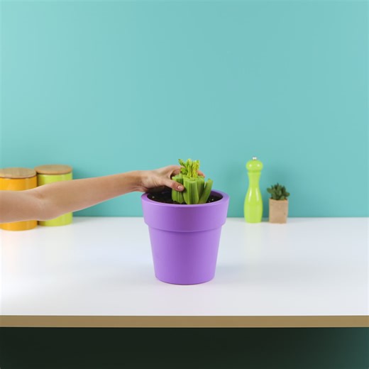 8.9K views · 21 reactions | Indoor Gardening Made Easy: Clever Hacks for Your Space | 3-Minute Hacks | Facebook