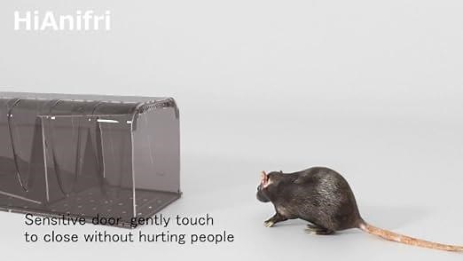 Newest Humane Mouse Trap, Catch and Release