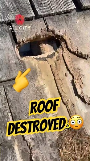 Squirrel Chewed Through THIS Roof 😳 (Vancouver)