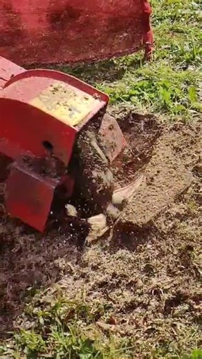 Slow Motion Stump Removal from #stumpsolutionz