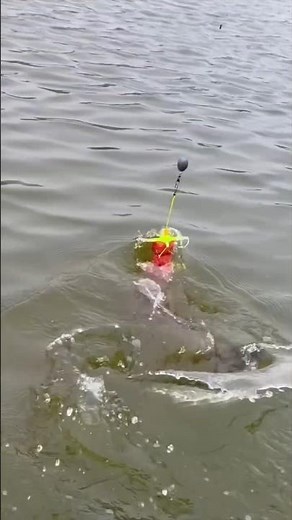 Best fishing techniques for fishing rod?!