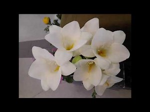 クラシックギター名曲集55分(途中CMなし）