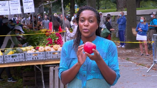 Fall into delicious produce of the new season