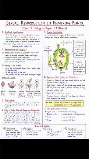 📘 Class 12 Biology NotesChapter 1.1: Sexual Reproduction in Flowering Plants 🌸🧬 #biologyclass