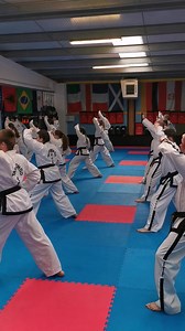 Dan Gun last week in Athlone. | Grandmaster Dalton Taekwon-Do