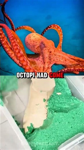 Are Octopuses Alien Lifeforms? 🐙w/ Brian Cox
