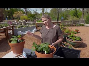 Using Moisture Crystals