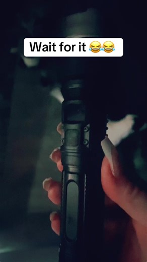 This is an awesome flashlight for a very good price!! My dogs love it 😂 #musthaves #viral #fypシ #tiktokshopfinds #tiktokmademebuyit
