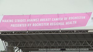 'Making Strides Against Breast Cancer' raises $375,000