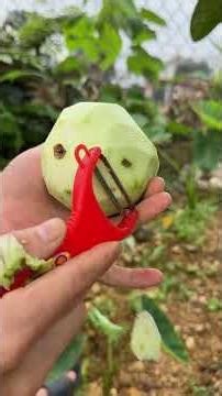 The Cleanest Guava Cut Ever 😱