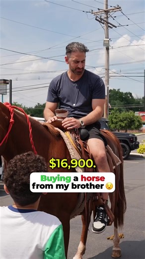 Unique Horse Purchase Experience at Car Dealership
