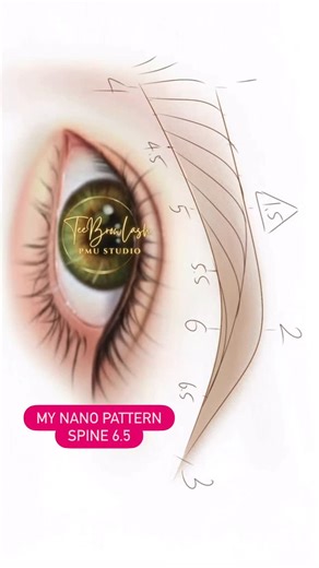 Thi Ngo - 𝗧𝗲𝗲𝗯𝗿𝗼𝘄𝗹𝗮𝘀𝗵 𝗟𝗟𝗖 - 𝗣𝗠𝗨 𝗔𝗿𝘁𝗶𝘀𝘁 & 𝗧𝗿𝗮𝗶𝗻𝗲𝗿 on Instagram: "How i draw my Nano HAIRSTROKES pattern SPINE 6.5."