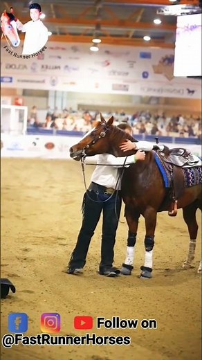 Deep horse lover🐴❤️