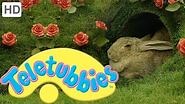 Teletubbies- Rabbits - HD Video