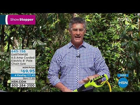 EARTHWISE 6.5 Amp Corded Electric 8" Pole Chain Saw