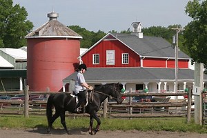 Horseback Riding Classes Offered Near Hillsborough