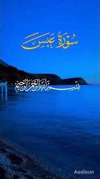 Surah Abasa (1–22) Beautiful Recitation | Heart Touching Quran Tilawat 💙