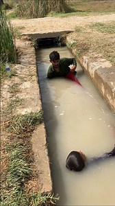 Biggest Catch!Epic Fishing Moment!Giant Fish Attack!Lucky Fishing @pocoyobrasil‪@pocoyobrasil‬