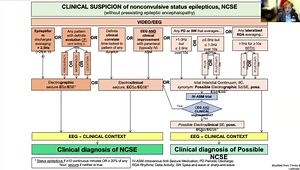 EEG Challenges in Neuro ICU: Nonconvulsive Seizures, Interictal Patterns, and Overtreatment Risks