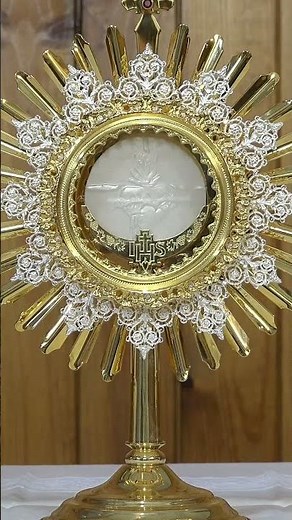 Praised be Jesus Christ in the Blessed Sacrament! 🙏🙏🙏 Visit the Blessed Sacrament