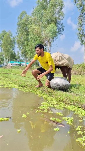 What a Big Crow: A Hilarious Encounter