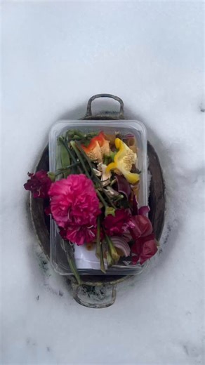 ( Le chemin de l’éternité ) • Les cycles ne s’ignorèrent pas . • Installation sur neige • • #paulkatoe #installation | PAUL KATOE