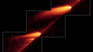 Tau Herculids meteor shower puts on a 'decent' display