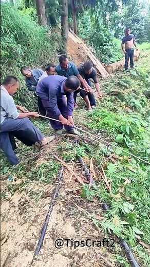 Tug of war on the hillside