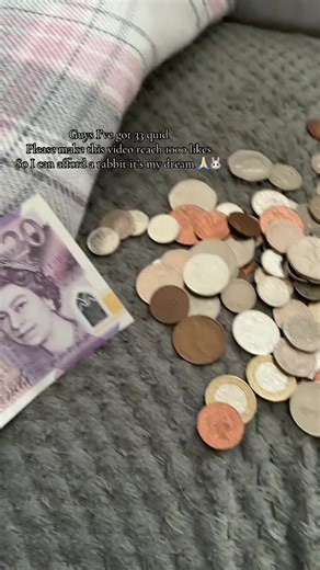 Help Me Achieve My Dream of Owning a Rabbit!