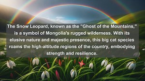 Exploring Mongolias Natural Wonders: Top 10 Native Fauna Species