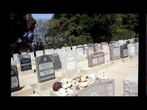 The Three Stooges: Gravesites of Curly and Shemp