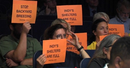 City-County Council approves ordinance cracking down on backyard breeding