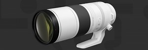 Canon RF 200-800mm IS USM Previews / Reviews - Canon Rumors