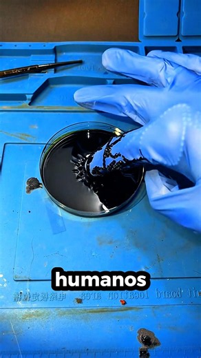 Não Encoste Isso De Jeito NENHUM!! #incrível #curiosidades