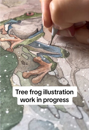 Captivating Tree Frog Illustration Process