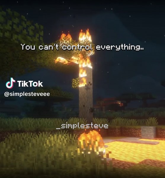 you can‘t control everything.. #minecraftquotes #minecraft #minecraftersonly #minecraftmusic