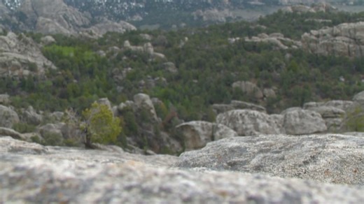 Ancient granite can be seen in the City of Rocks