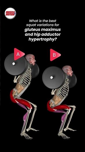 What is the best squat variation for gluteus maximus and hip adductor hypertrophy? 💪