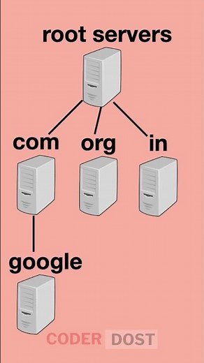 What is DNS or Domain Name System ?
