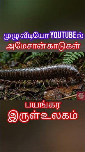 Amazon Forest is a dark world|Amazon forest|Shorts #darkhistorytamil #tamil