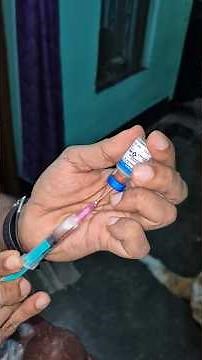 The Importance of Nobivac DHPPiL for Your Canine Companion.#shorts #dogvaccination #dogprotection