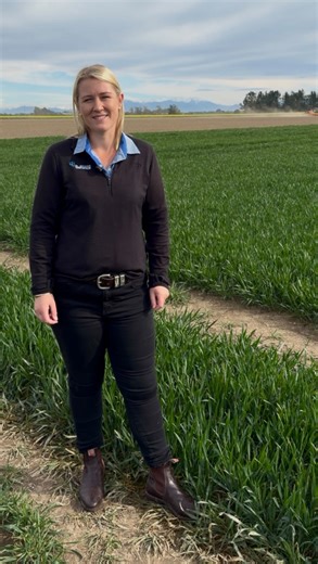 1.3K views · 58 reactions | Gretchen’s top tip? Get soil testing done, get in early, and get some sulphur on. On farm in Ashburton, Gretchen is seeing what many farmers are facing this spring: low sulfur after a wet winter. Test early, act early, make it count. | Ballance Agri-Nutrients | Facebook
