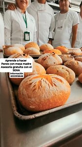 3K views · 19 reactions | #Programa #Nacional de consumo de pan hecho con #MasaMadre Invita a todas las personas interesadas en recibir asesoría profesional en preparación de panes con masa madre o panadería saludable con técnicos del SENA en Pereira Risaralda a inscribirse totalmente gratis en este maravilloso programa información en el siguiente número 302 291 6646 | SEÑOR PAN | Facebook