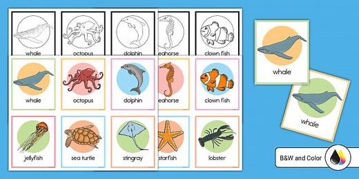 Ocean Animal Matching Game