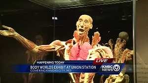 Body Worlds exhibit opens Saturday at Union Station